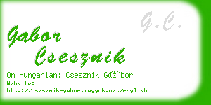 gabor csesznik business card